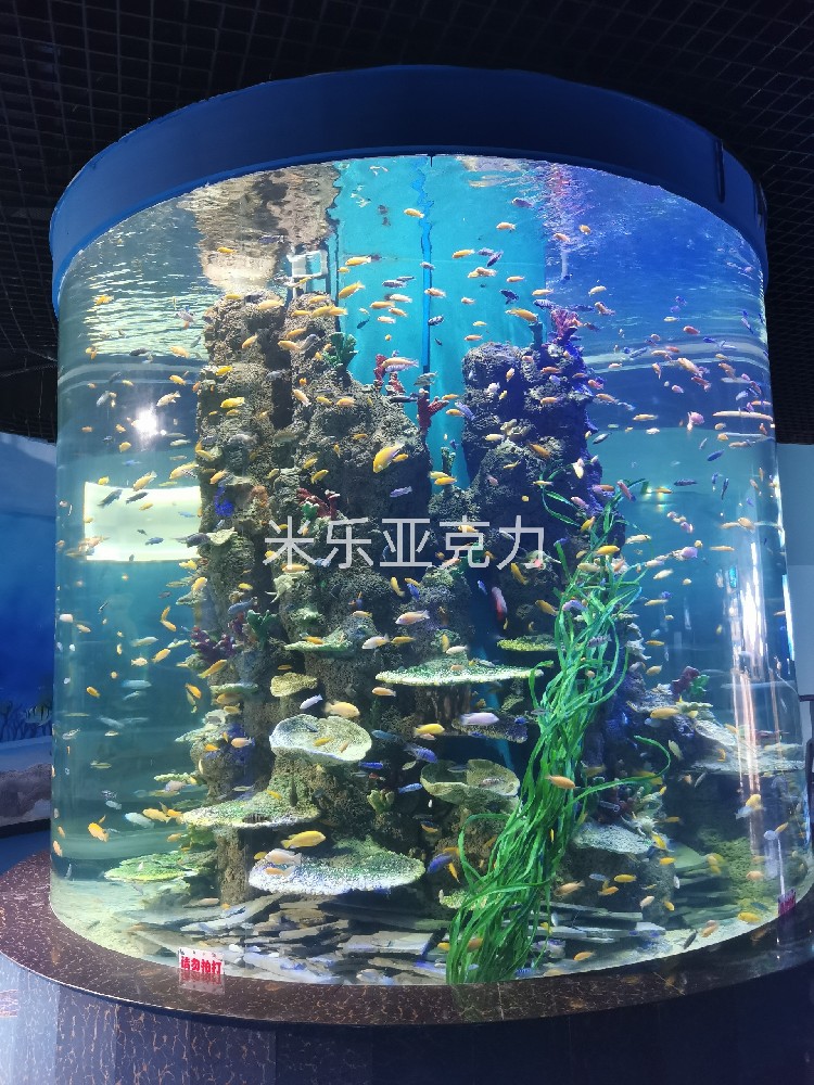 <b>亞克力魚缸：為何是養(yǎng)魚的不二選擇？</b>