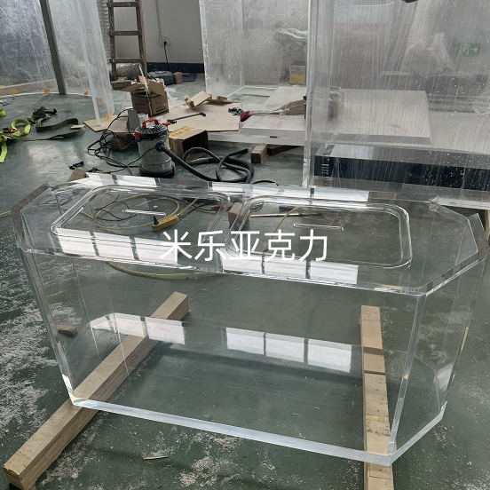 <b>不同類型魚缸有何獨(dú)特之處</b>