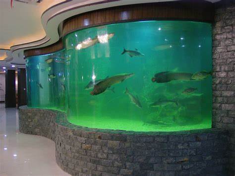 <b>別墅大型魚缸保養(yǎng)指南</b>